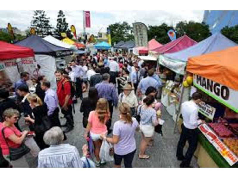 182 Melville Terrace, Manly QLD 4179