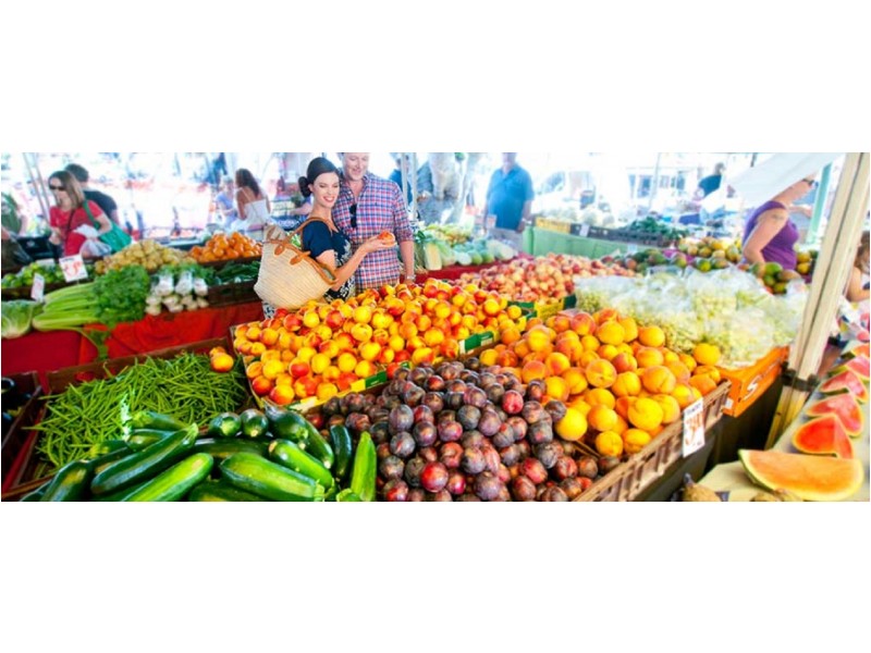 182 Melville Terrace, Manly QLD 4179