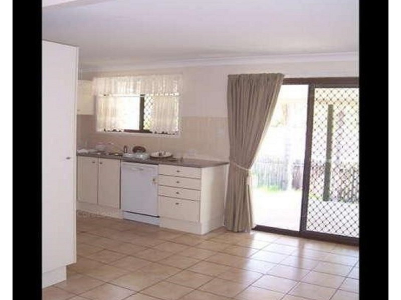 17 Spoonbill Street, Birkdale QLD 4159