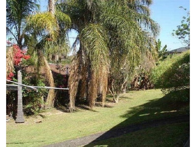 17 Spoonbill Street, Birkdale QLD 4159