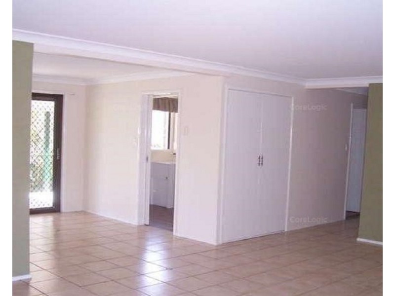 17 Spoonbill Street, Birkdale QLD 4159