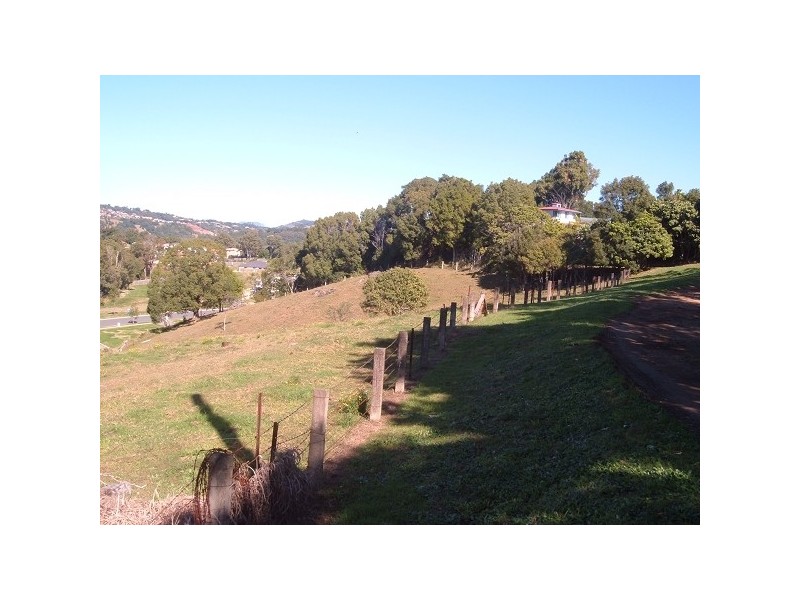 Tweed Heads South NSW 2486