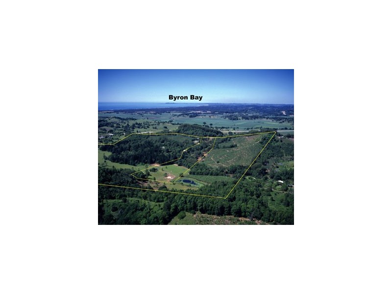 349 Pottsville Road, Sleepy Hollow NSW 2483