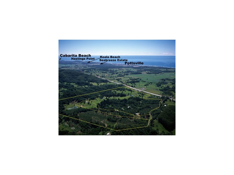 349 Pottsville Road, Sleepy Hollow NSW 2483