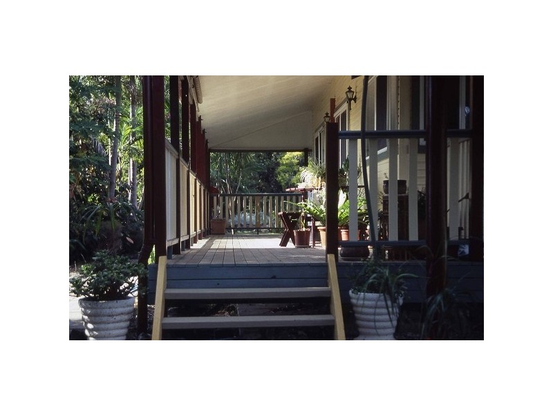 349 Pottsville Road, Sleepy Hollow NSW 2483