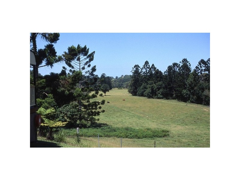 349 Pottsville Road, Sleepy Hollow NSW 2483