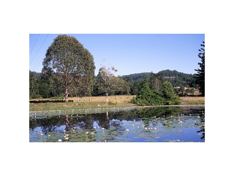 349 Pottsville Road, Sleepy Hollow NSW 2483