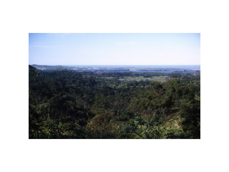 349 Pottsville Road, Sleepy Hollow NSW 2483