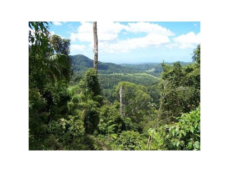 56 GLENGARRIE RD, Glengarrie NSW 2486