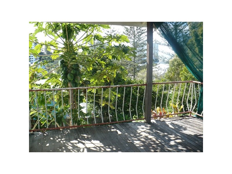 49 Garrick St, Coolangatta QLD 4225