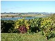 8 The Parapet, Banora Point NSW 2486