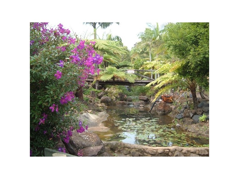 Tweed Heads West NSW 2485