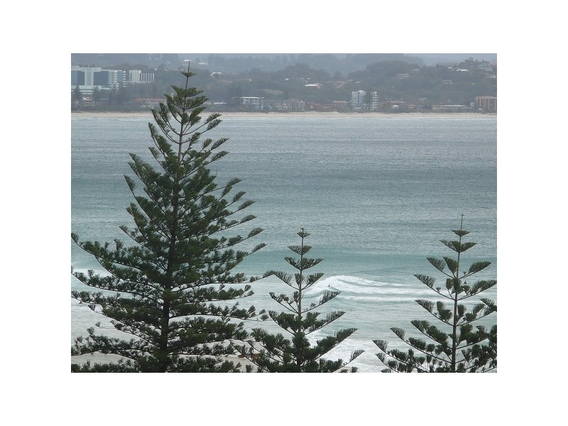 Coolangatta QLD 4225