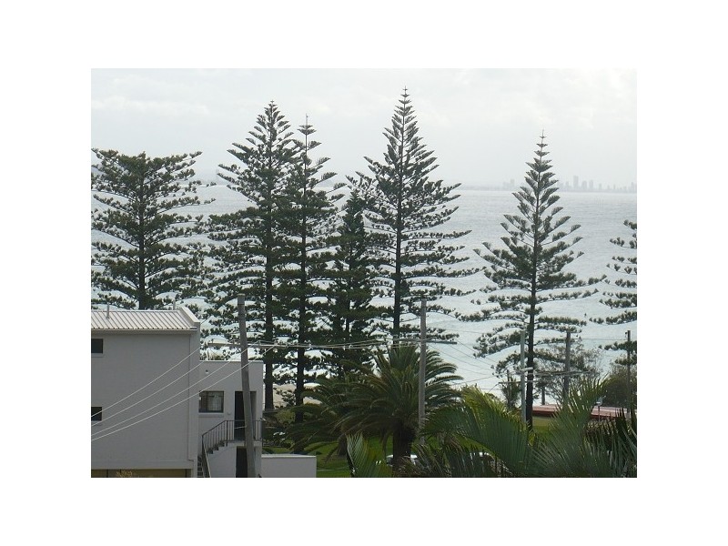 Coolangatta QLD 4225