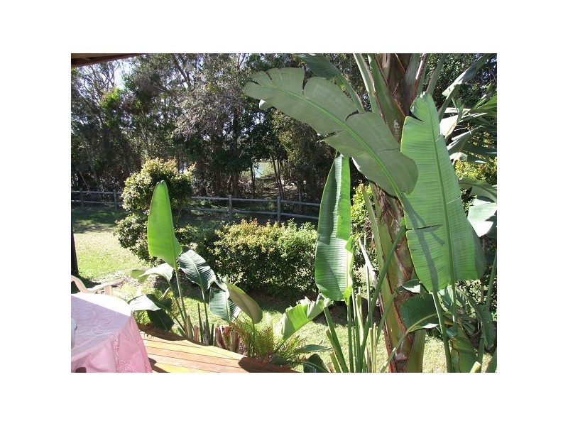 Pottsville NSW 2489