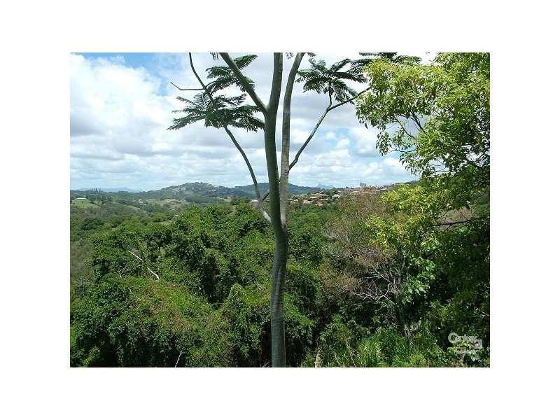 43 Broadwater Esplanade, Bilambil Heights NSW 2486