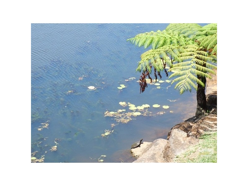 Banora Point NSW 2486