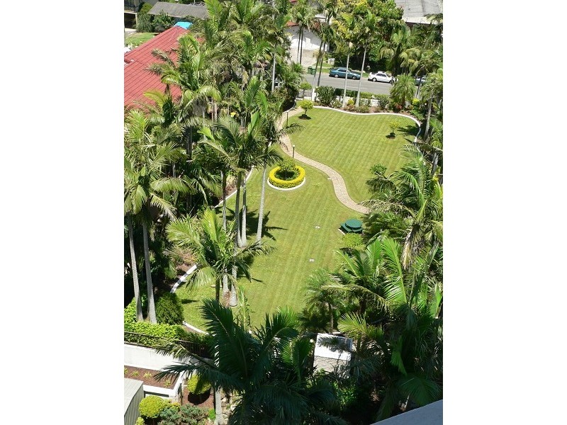 Surfers Paradise QLD 4217