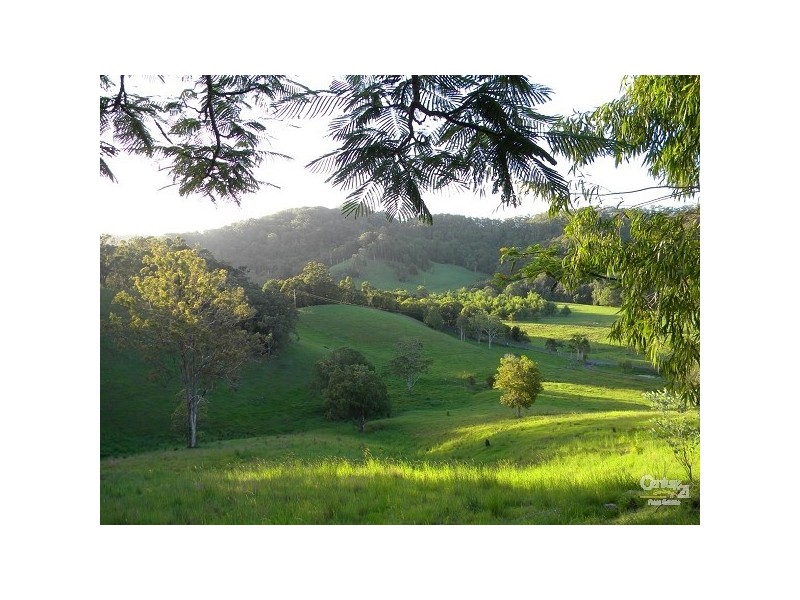 635 Piggabeen Rd, Piggabeen NSW 2486