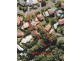 50 Oyster Point Road, Banora Point NSW 2486
