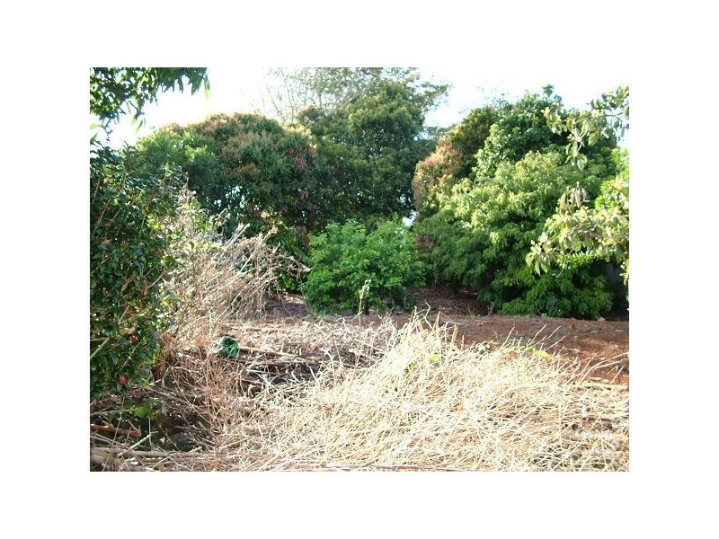 Banora Point NSW 2486