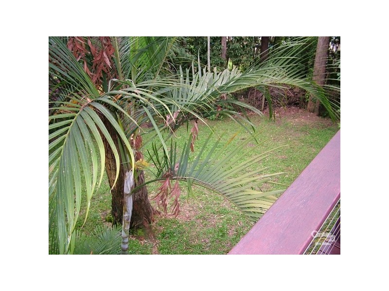 63 Piggabeen Road, Tweed Heads West NSW 2485