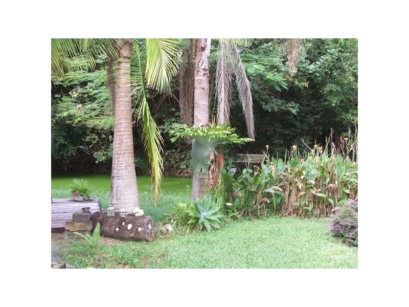 16 Urliup Rd, Bilambil NSW 2486