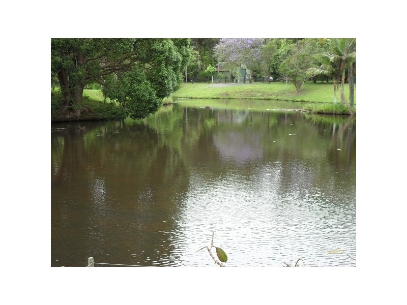 788 Piggabeen Road, Piggabeen NSW 2486