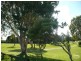 Tugun QLD 4224