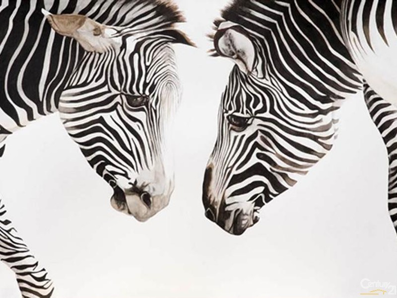 102 Illawarra Crescent, Tugun QLD 4224