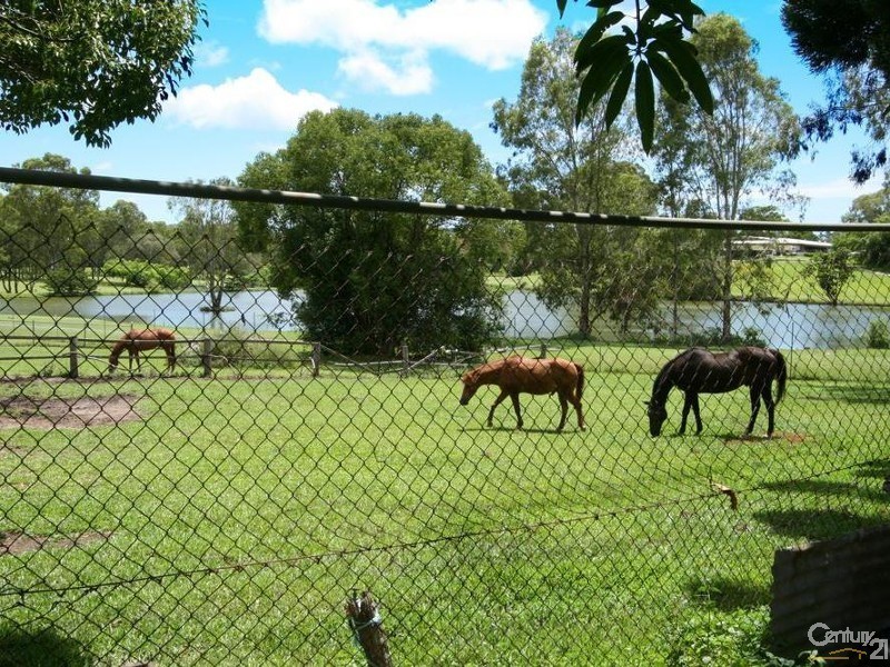 515 Guineas Creek Road, Tallebudgera QLD 4228
