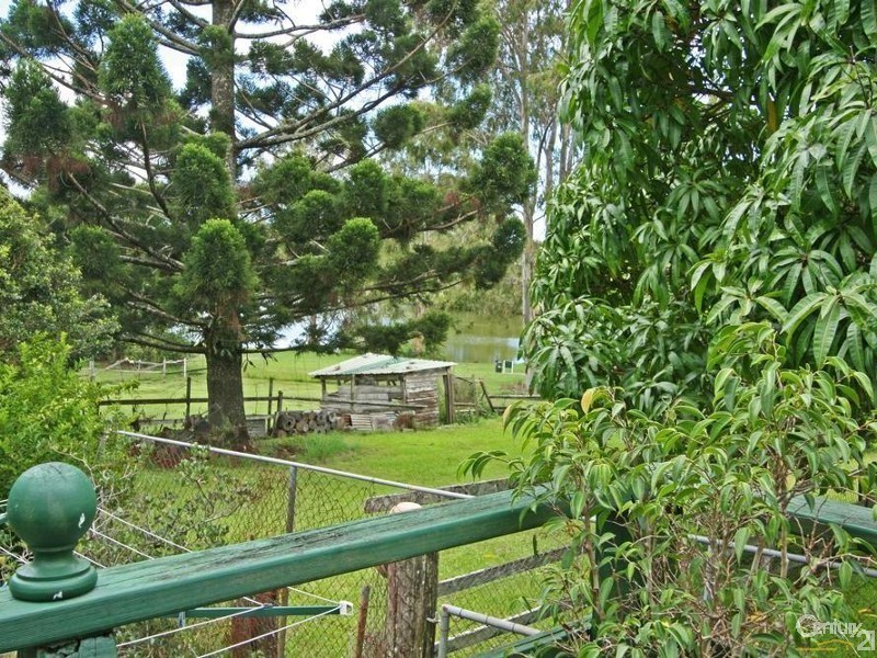 515 Guineas Creek Road, Tallebudgera QLD 4228