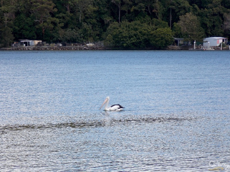 120 Jacaranda Avenue, Tweed Heads West NSW 2485