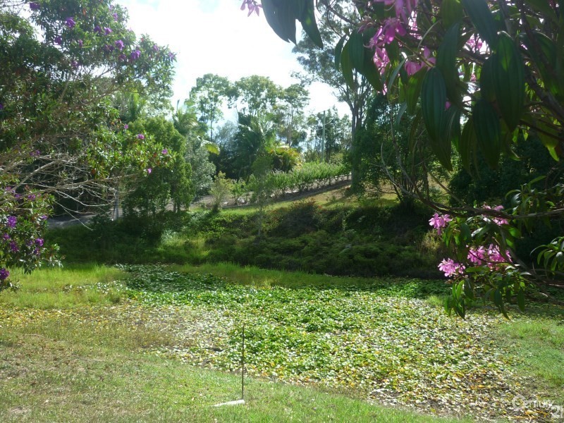 7170 Tweed Valley Way, Murwillumbah NSW 2484