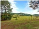 350 Reserve Creek Road, Murwillumbah NSW 2484