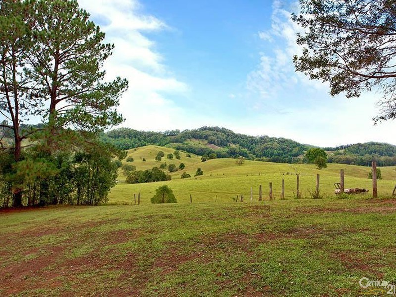 350 Reserve Creek Road, Murwillumbah NSW 2484
