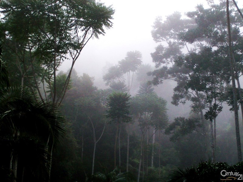 Lot 164 Boyds Lane, Dulguigan NSW 2484, Dulguigan NSW 2484