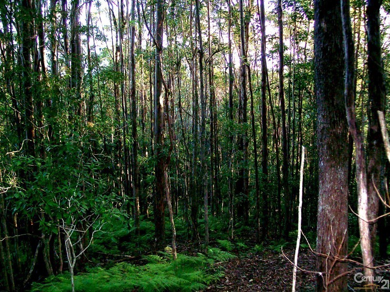 Lot 164 Boyds Lane, Dulguigan NSW 2484, Dulguigan NSW 2484