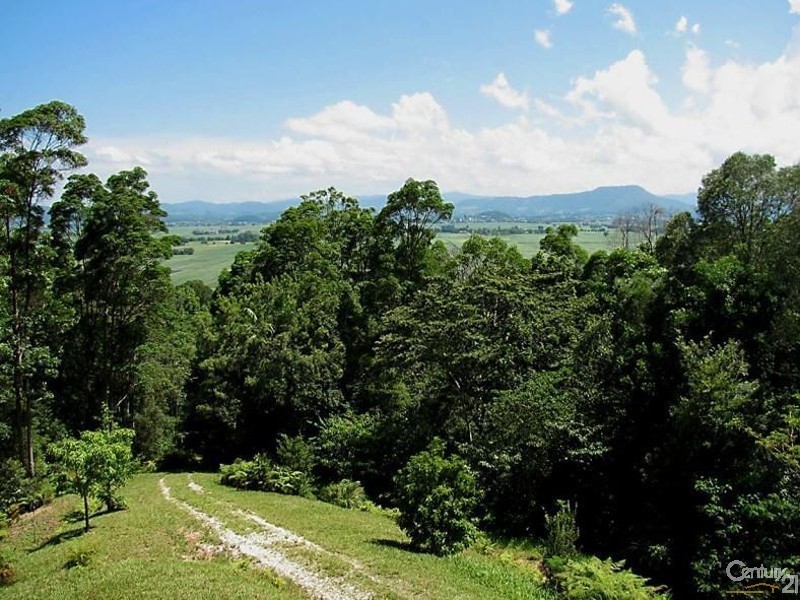 Lot 164 Boyds Lane, Dulguigan NSW 2484, Dulguigan NSW 2484