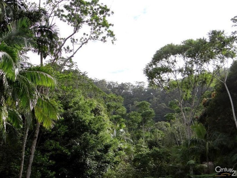 Lot 164 Boyds Lane, Dulguigan NSW 2484, Dulguigan NSW 2484