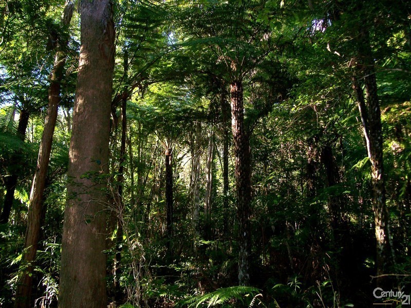 Lot 164 Boyds Lane, Dulguigan NSW 2484, Dulguigan NSW 2484