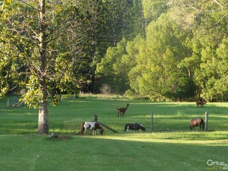 Murwillumbah NSW 2484