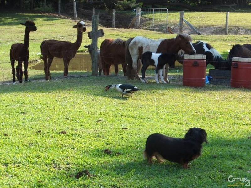 Murwillumbah NSW 2484