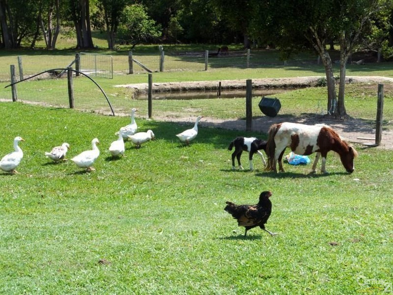 Murwillumbah NSW 2484