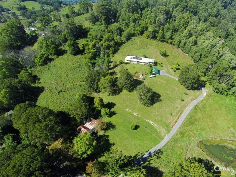667 Numinbah Rd, Crystal Creek NSW 2484, Murwillumbah NSW 2484
