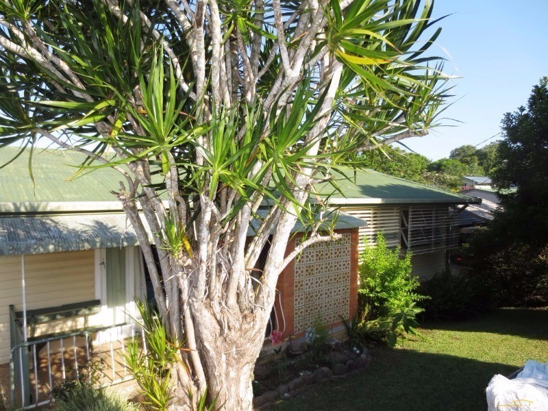 14 Park Avenue, Bray Park, Murwillumbah NSW 2484
