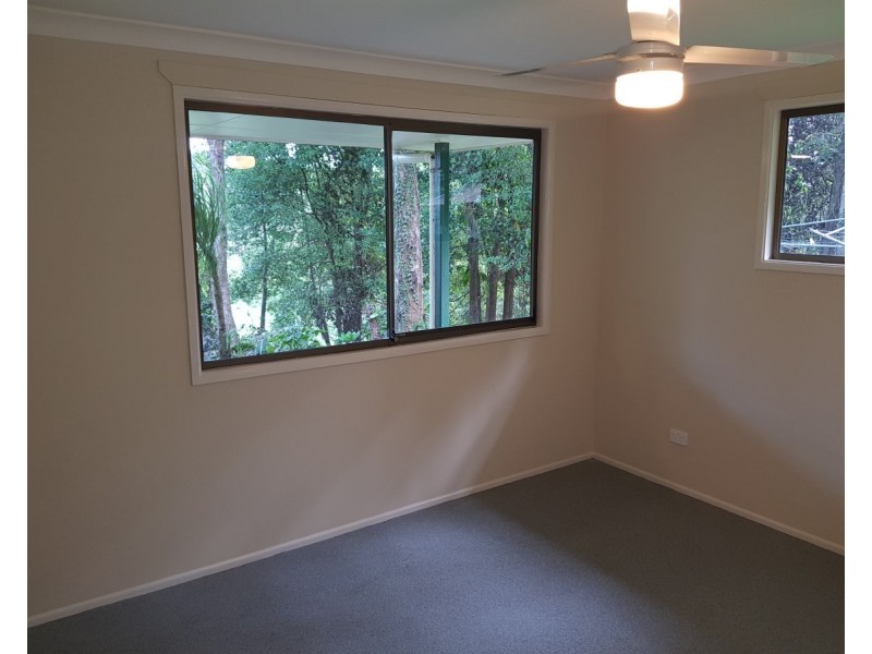 196 Billinudgel Road, Billinudgel NSW 2483