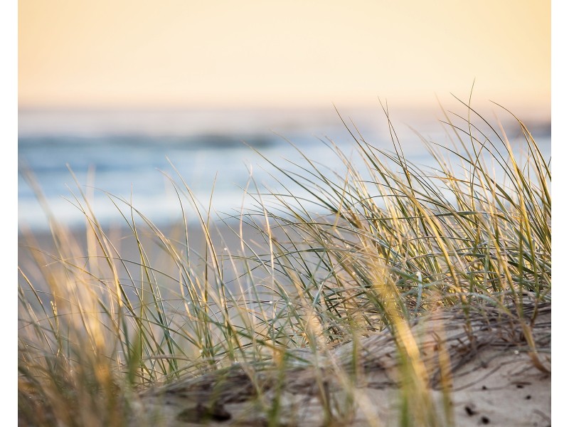 8 Churchill Street, Coolangatta QLD 4225