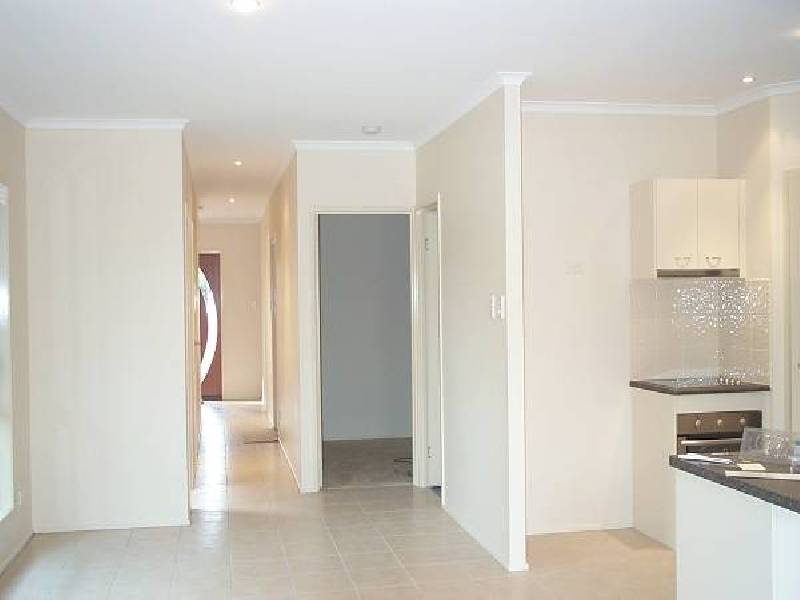 41 PALMTREE AVENUE, Scarborough QLD 4020