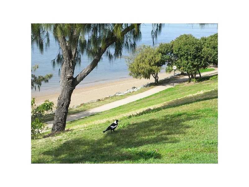 Woody Point QLD 4019